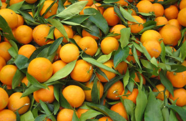 Kinnu Fruit 