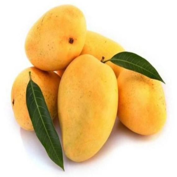 Chaunsa Mango