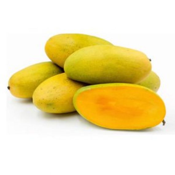 Sindhri Mango 1